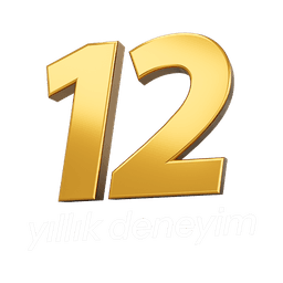 12 years of experience